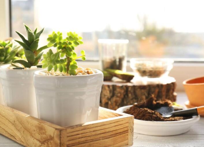 阳光明媚的句子文案唯美句