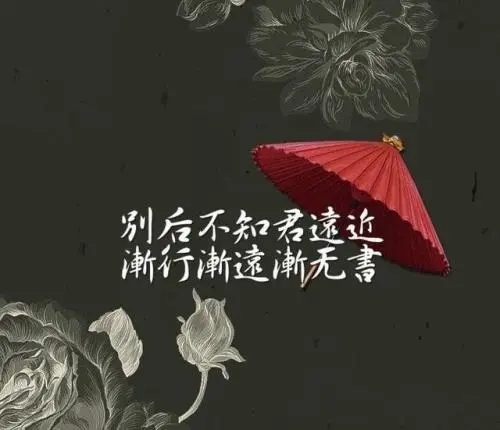 很有诗意的句子文案