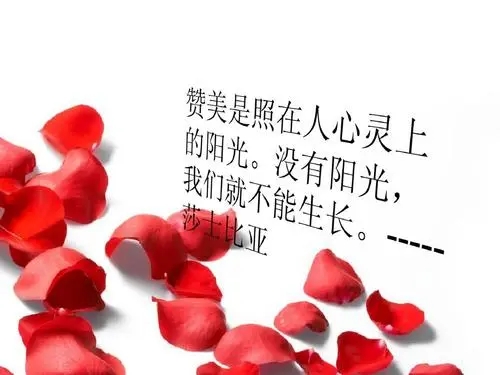 赞美自己优秀的一段话