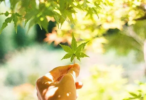 半山文集经典句子文案