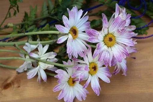 励志充满正能量的说说文案