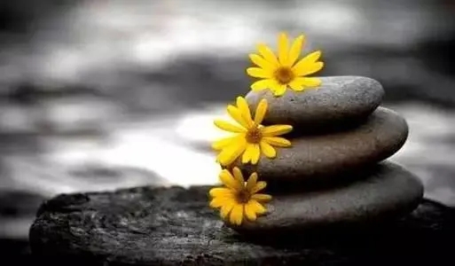 讲人品的经典句子文案