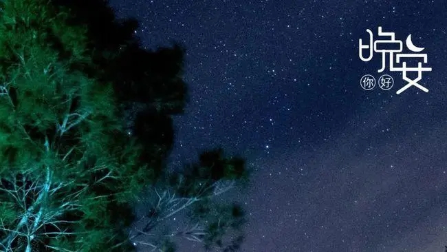 跟女生说晚安幽默句子文案