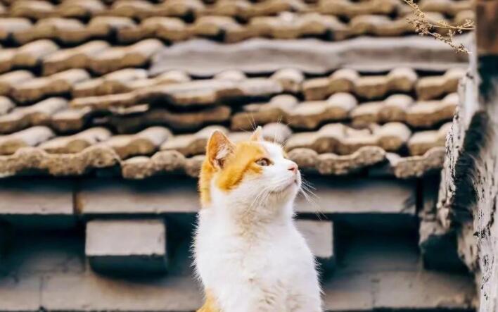 搞笑评论别人的朋友圈