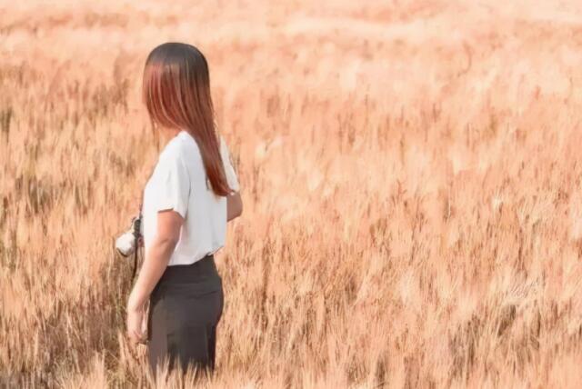 表达爱意的句子文案