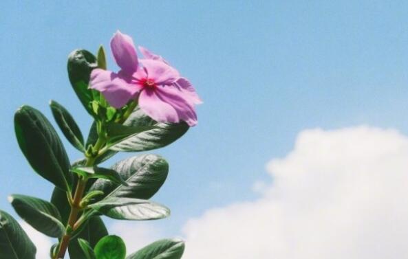 早上问候暖心话语