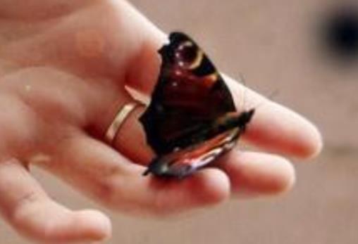 想念一个人的句子文案的句子文案