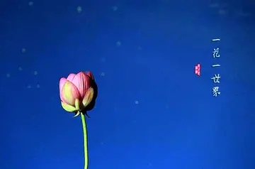 50个优美句子文案简短