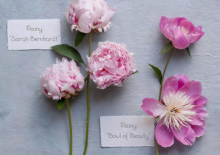 六一节祝福语大全感动