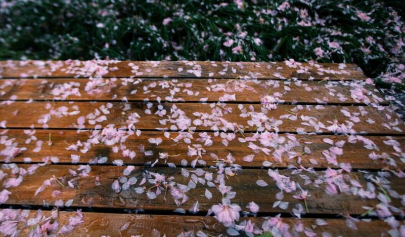 伤心感情哲理句子文案