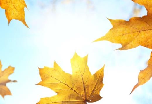 睡前撩妹情话文案晚安