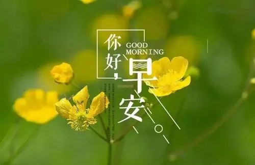 清晨奋斗的句子文案