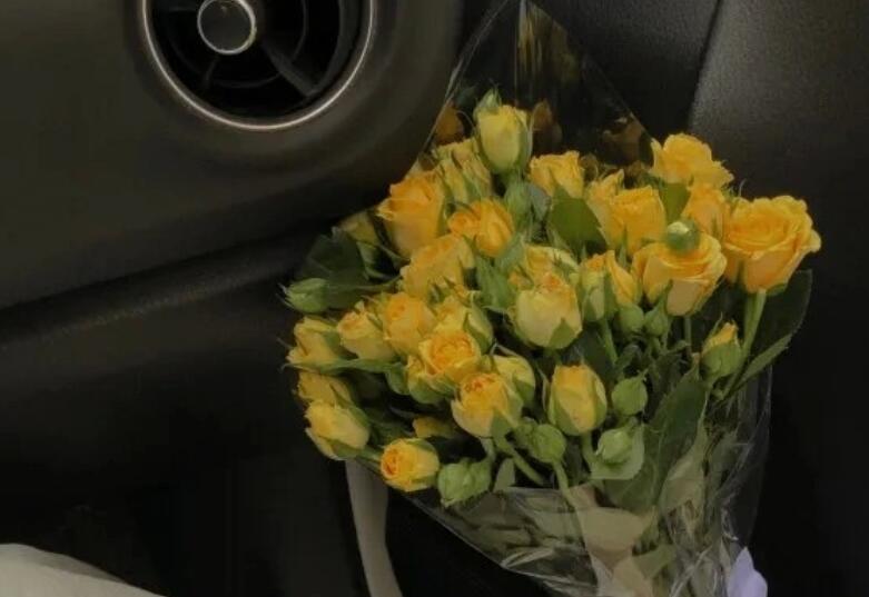 每天坚持积累的名言名句文案