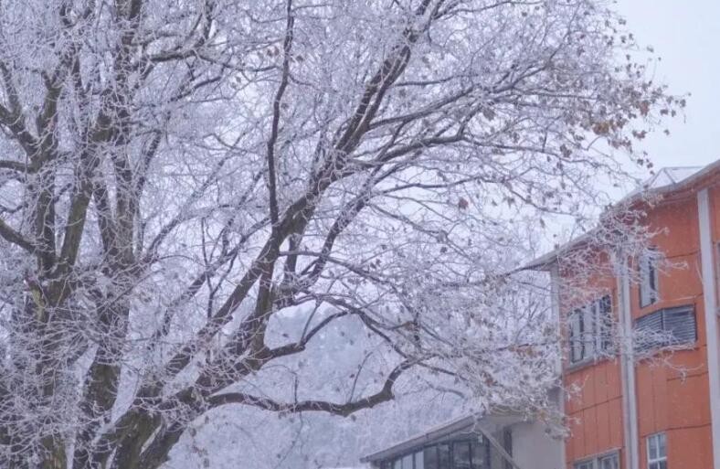 形容大雪的句子文案唯美