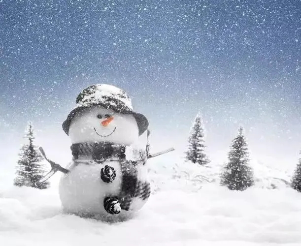 看到雪景的心情说说文案