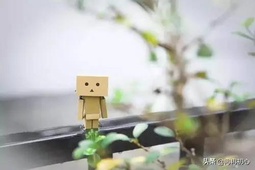 没人疼不敢撒娇的说说文案