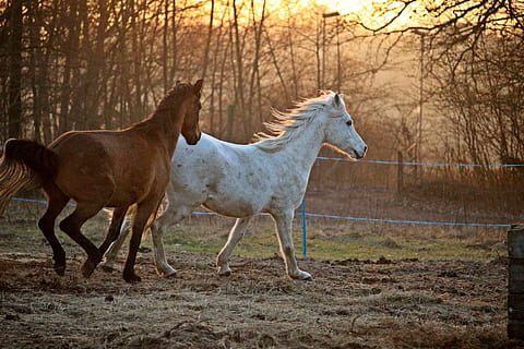 发朋友圈骂卑鄙小人的句子文案