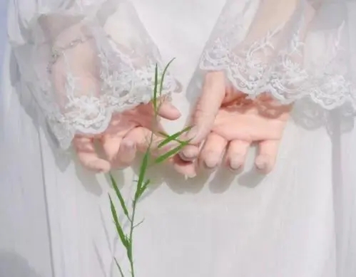 2021唯美的句子文案