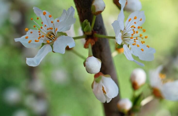 正能量早安问候语简短一句话