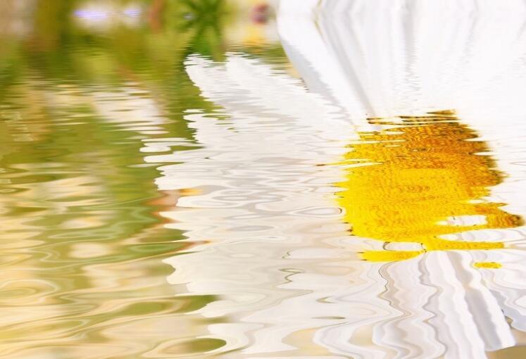 个人修养的名言