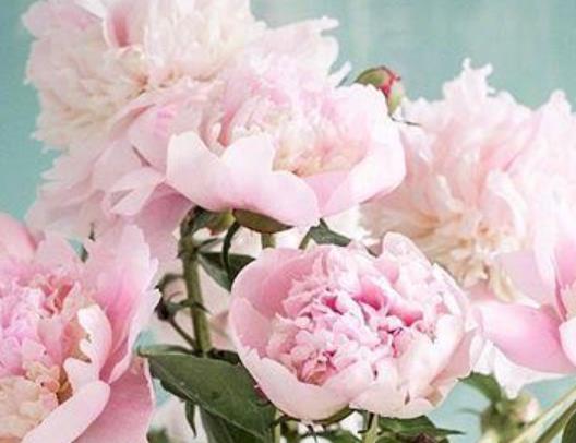 风趣幽默的撩妹句子文案