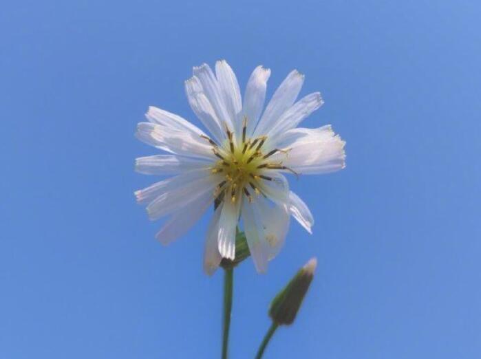 告诫自己该清醒的句子文案图片