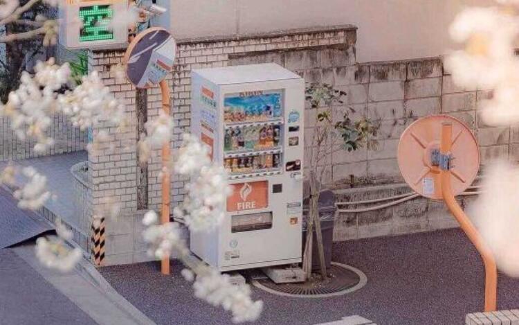 描写景物的句子文案摘抄大全