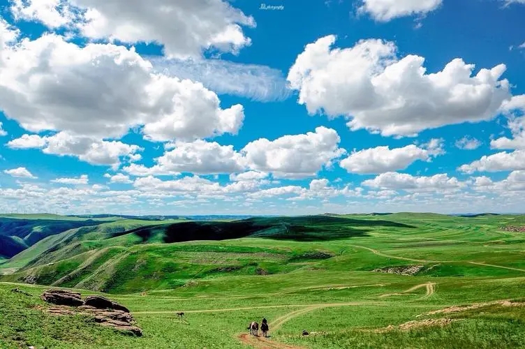 赞美草原的诗句文案