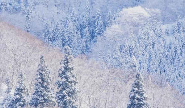 冬天天气语录文案短句