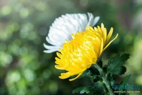 对逝者在天堂祝福的话语