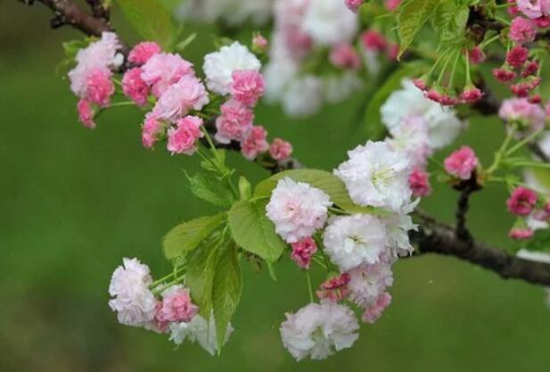 千古绝句最伤感的诗词