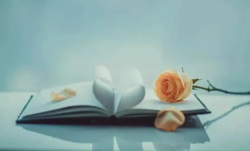 心态好一切都好说说文案