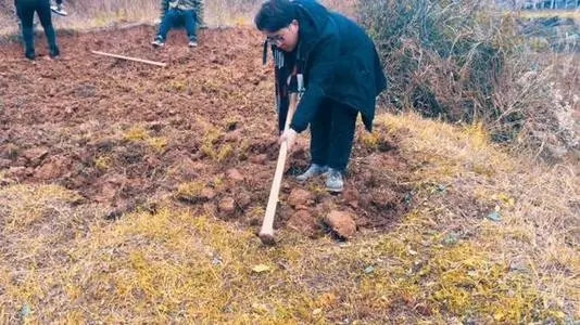 干农活累的句子文案发朋友圈