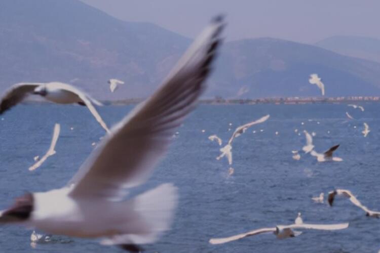 享受大自然的美景句子文案