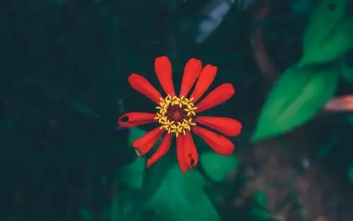 比水还干净的文案