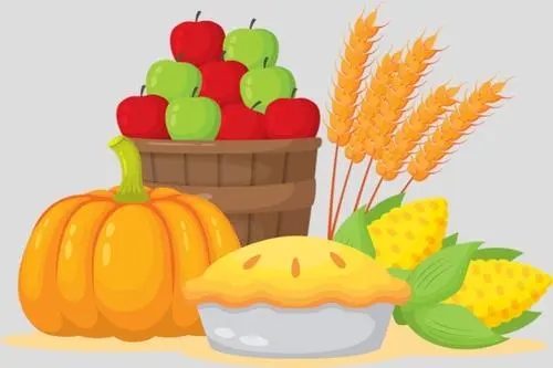 不能浪费粮食写一句话