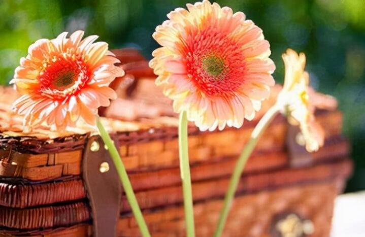 高情商说早上好的句子文案