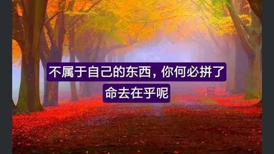 自己渡自己的说说文案