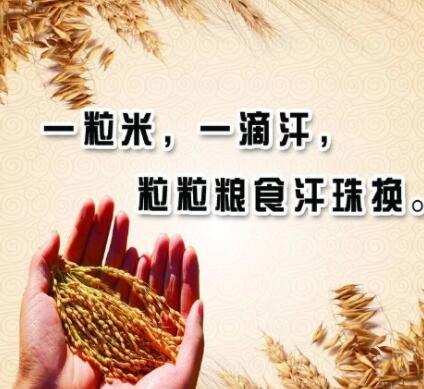 节俭的名言警句