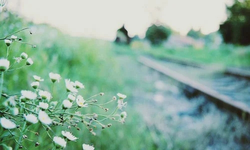 失望绝望的句子文案说说心情