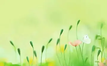 给朋友发早上好的问候语