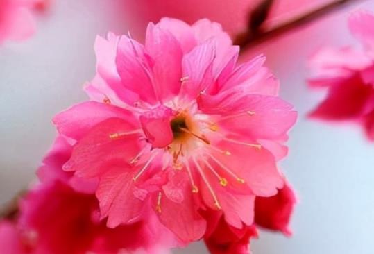 写早安的优美句子文案