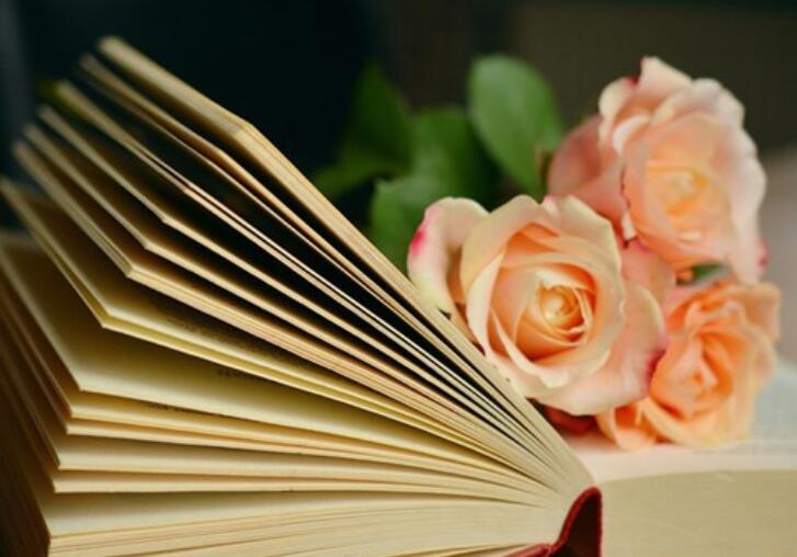 人生后悔的经典语录文案