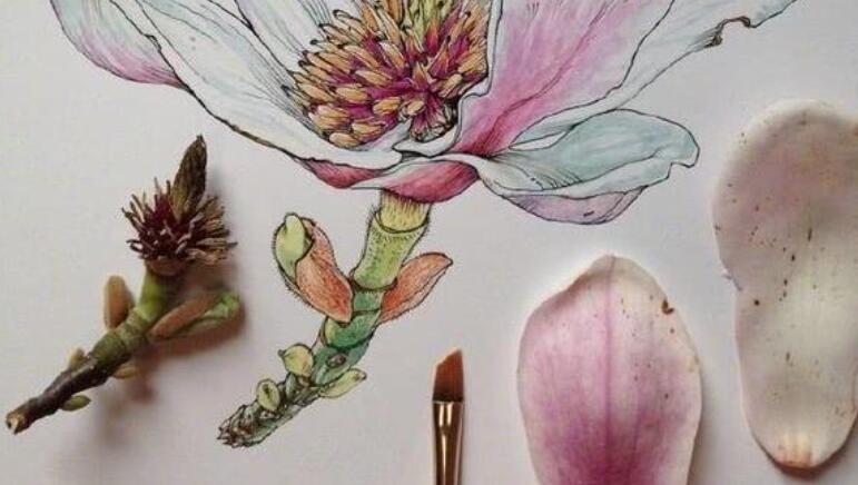 夸人会享受生活的句子文案