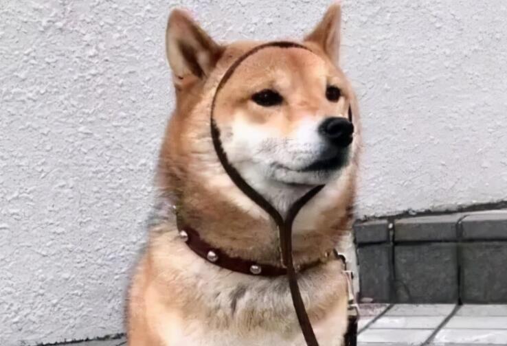 朋友圈调皮的句子文案说说搞笑