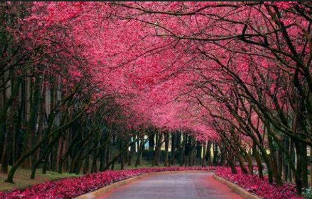 出门散心的唯美句子文案