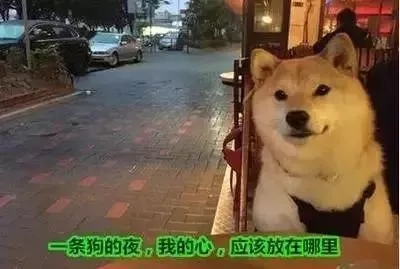 朋友圈暗示自己想脱单