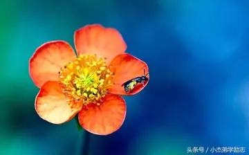 生活简单快乐的句子文案短句说说