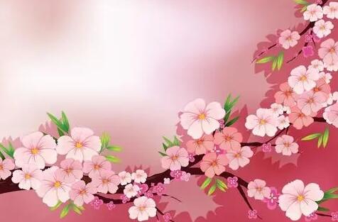 关于桃花最出名的诗句文案