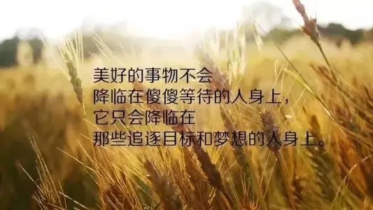 珍惜机会的优美句子文案